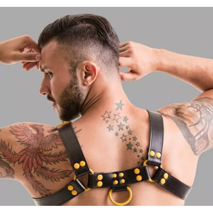 LEDERGESCHIRR SCHWARZ / GELB