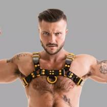 LEDERGESCHIRR SCHWARZ / GELB