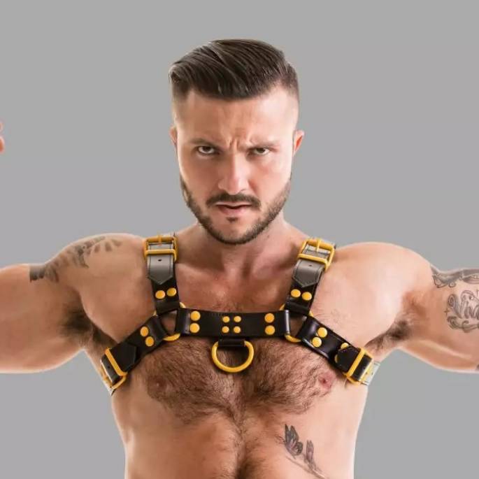 LEDERGESCHIRR SCHWARZ / GELB