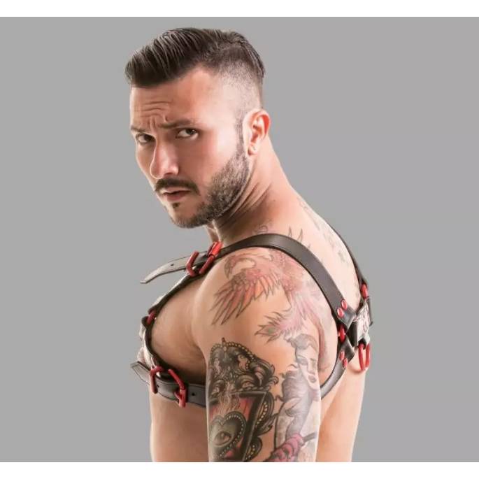 LEDERGESCHIRR SCHWARZ / ROT