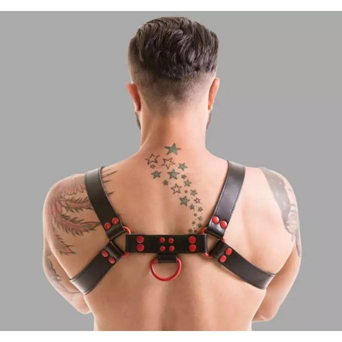 LEDERGESCHIRR SCHWARZ / ROT