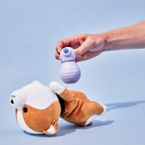 FRIDAY BAE-DER SCHRITTMACHER