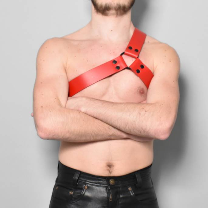 Geschirr "Y" aus rotem Leder