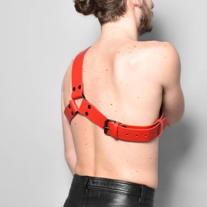 Geschirr "Y" aus rotem Leder