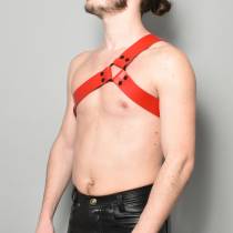 Geschirr "Y" aus rotem Leder