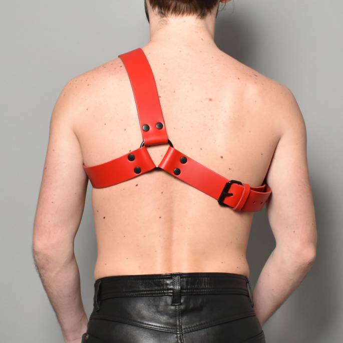 Geschirr "Y" aus rotem Leder