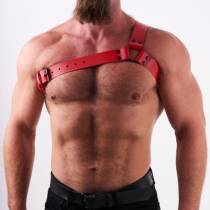 Geschirr "Y" aus rotem Leder