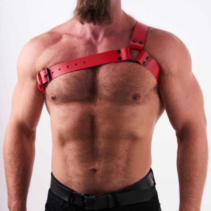 Geschirr "Y" aus rotem Leder