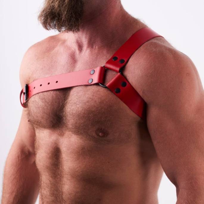 Geschirr "Y" aus rotem Leder