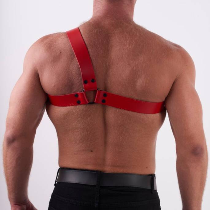 Geschirr "Y" aus rotem Leder