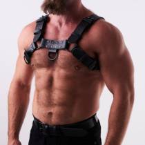 Ledergeschirr schwarz "H"