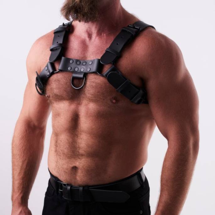 Ledergeschirr schwarz "H"