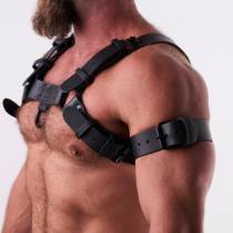 Ledergeschirr schwarz "H"