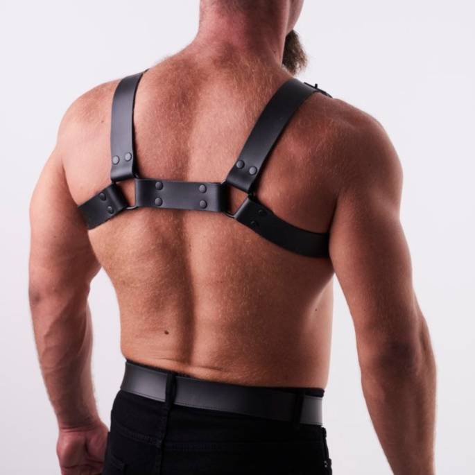 Ledergeschirr schwarz "H"