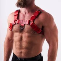 Herrengeschirr aus rotem Leder "H"