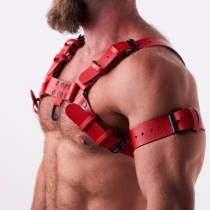 Herrengeschirr aus rotem Leder "H"