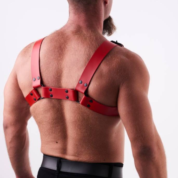 Herrengeschirr aus rotem Leder "H"