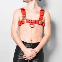 Herrengeschirr aus rotem Leder "H"