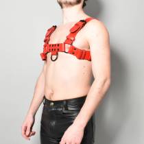 Herrengeschirr aus rotem Leder "H"