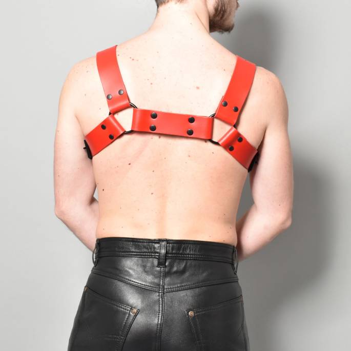 Herrengeschirr aus rotem Leder "H"