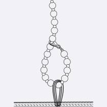 WETLOOK+SPITZEN-KOMBI MIT V-AUSSCHNITT