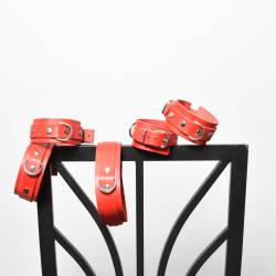 bDSM-Halsband