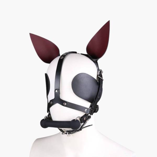 Kopfgeschirr pony play