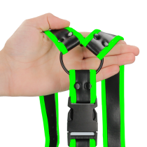 GLOW IN THE DARK-SCHNALLENGESCHIRR