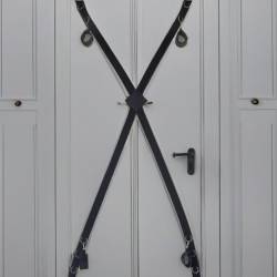 D&egrave;mon&iacute;a Basic