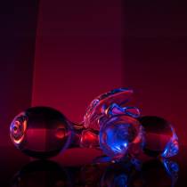 SET PLUGS GLOSSY N°17