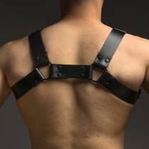 Ledergeschirr schwarz "H"