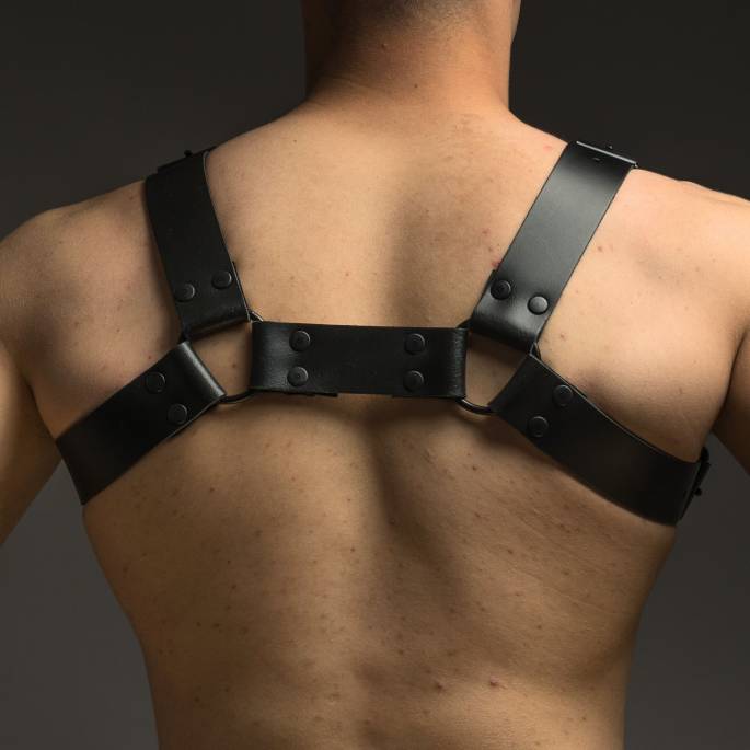 Ledergeschirr schwarz "H"