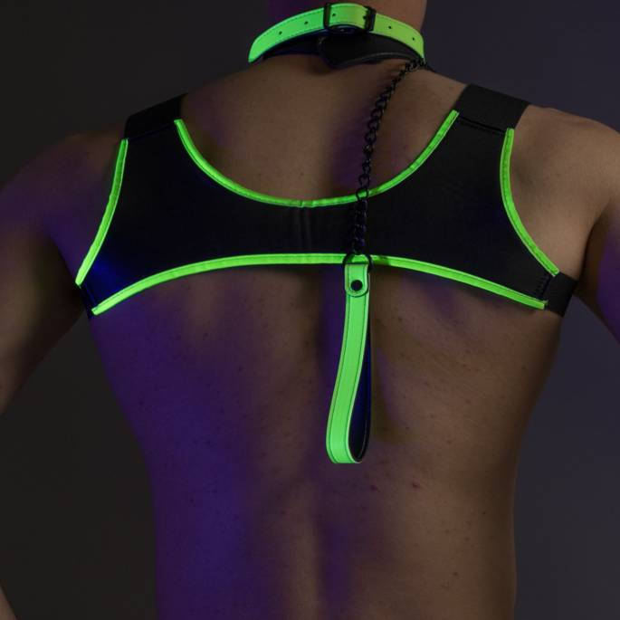 GLOW IN THE DARK NEOPRENE HARNESS