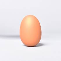 BOULE ANALE POUR CATAPULTE