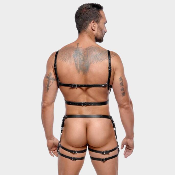 SET HARNAIS CUIR LANIÈRES+ANNEAUX