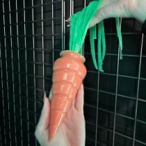 MA BELLE CAROTTE PLUG