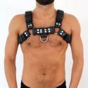 Harnais Bulldog cuir noir silver – harnais torse BDSM L/XL