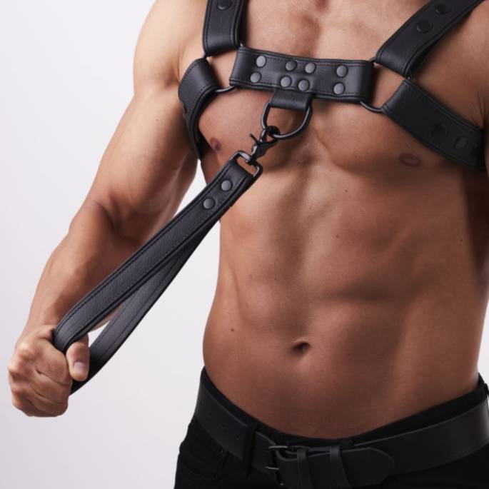 Laisse courte en cuir noir