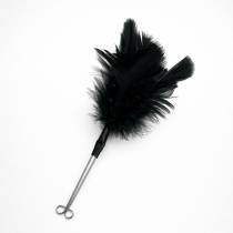 Pince à lèvres plumes noires