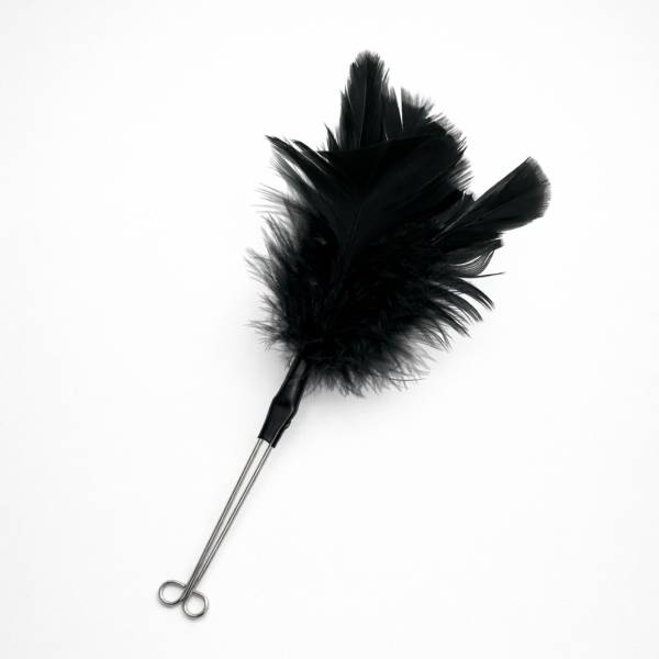 Pince à lèvres plumes noires