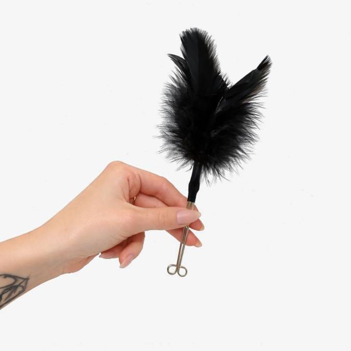 Pince à lèvres plumes noires