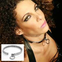 POLISHED STAINLESS STEEL COLLAR + RING