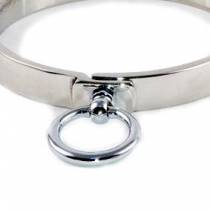 POLISHED STAINLESS STEEL COLLAR + RING