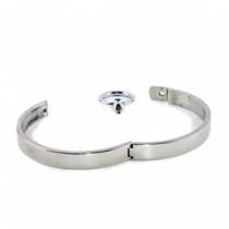 POLISHED STAINLESS STEEL COLLAR + RING