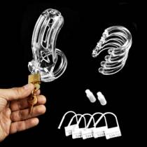 CHASTETE CURVE (Käfig)