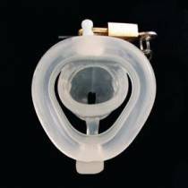 BIRDLOCKED TRANSPARENT