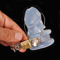 PRÍNCIPE ALBERTO DE LAS AVES