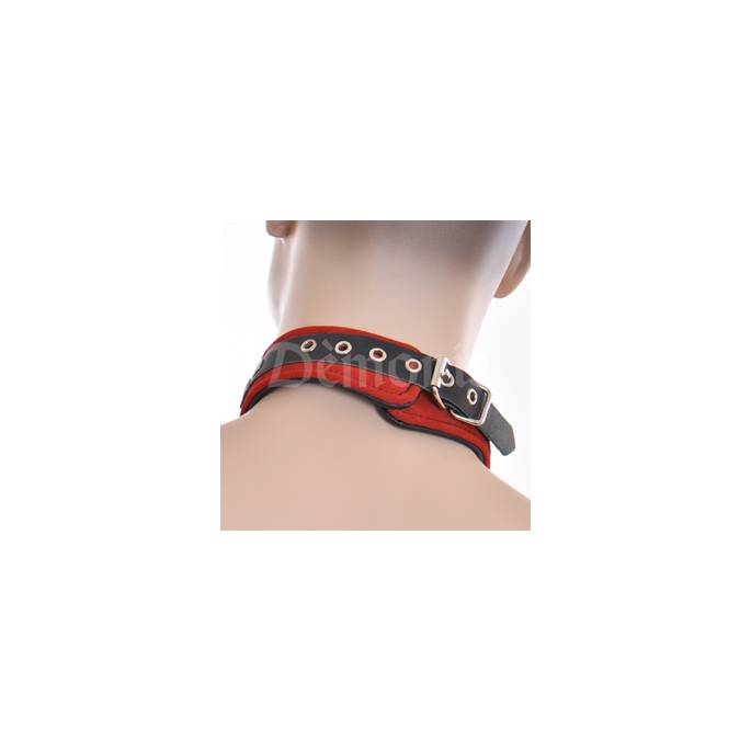 HALSBAND AUS LEDER + ROTEM SAMT + RING