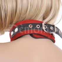 LEATHER + RED VELVET NECKLACE + RING