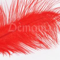 PLUME ROUGE